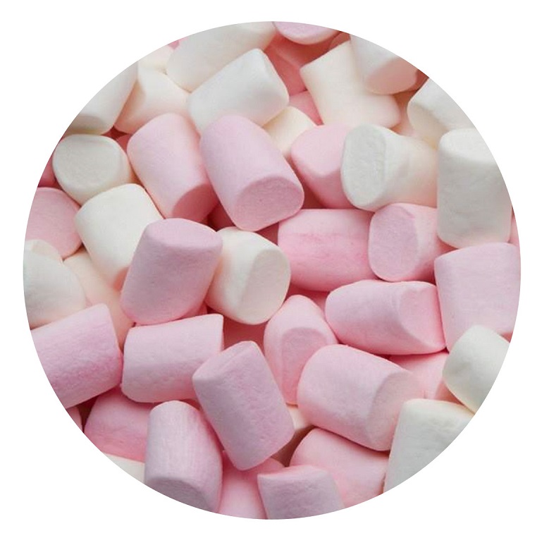 Mini Spekkies NIC 350g