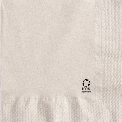 Servet 40x40cm 2-Laags Bio 4vw Servet 40x40cm 2-Laags Bio 4vw