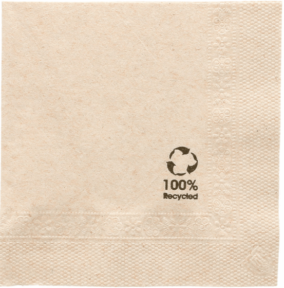 Servet 20x20cm 2-lgs Bio 4vw 4800st