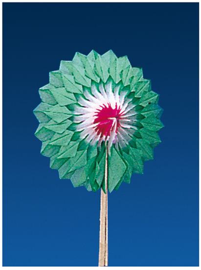 IJsdecoratie Waaiers Groen 7.5cm