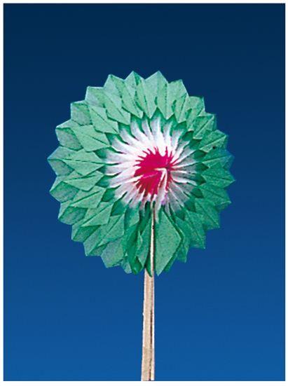 IJsdecoratie Waaiers Groen 7.5cm