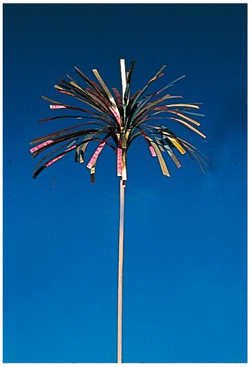 IJsdecoratie Sliertjes 15cm