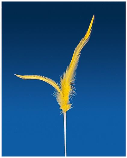 IJsdecoratie Veer Geel 17cm