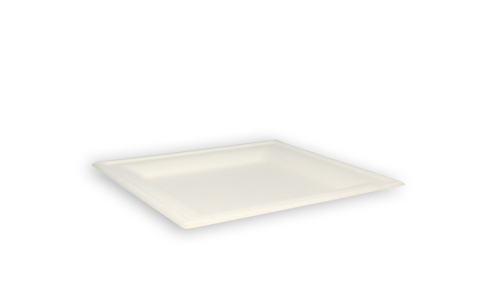 Bord Suikerriet 20x20cm Wit