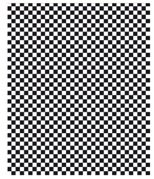 Vetvrije Vellen Zwarte Ruit 28x34cm Vetvrije Vellen Zwarte Ruit 28x34cm