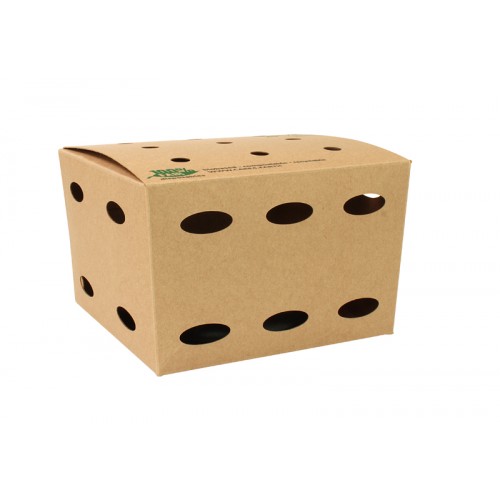 Fritesbox Karton Medium Bio 15x15cm