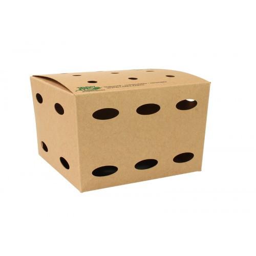 Fritesbox Karton Medium Bio 15x15cm
