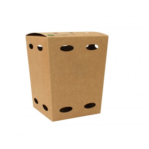 Fritesbox Karton Small Bio 12x12cm