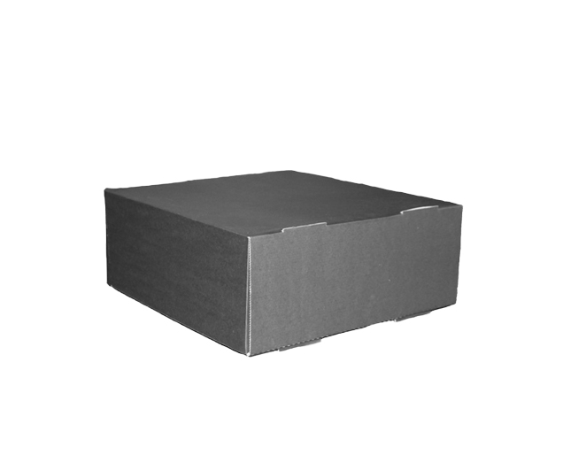 Take Away Box 32x32x10cm Zwart