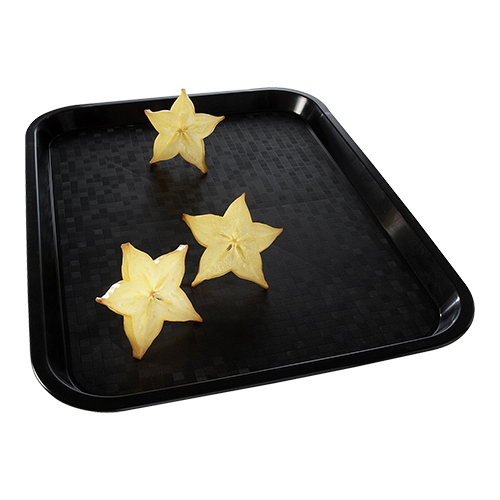 Dienblad Rol-Ex Polyprop Zwart