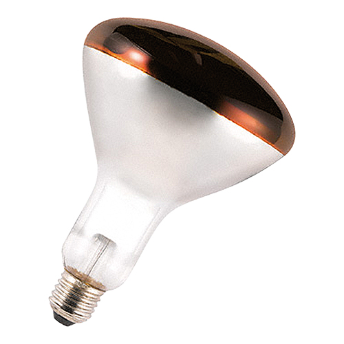 Warmhoudbrug Lamp Rood 250W