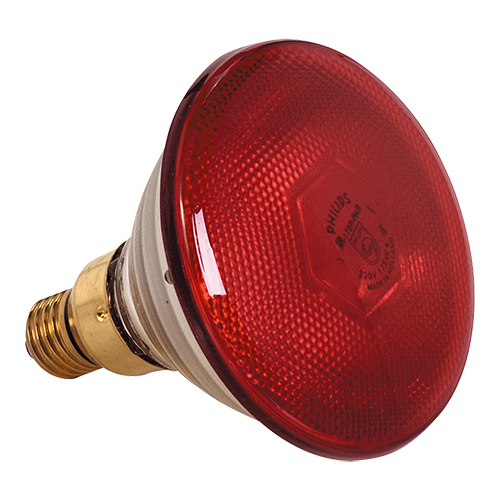 Warmhoudkap Lamp Los Rood 175W Warmhoudkap Lamp Los Rood 175W
