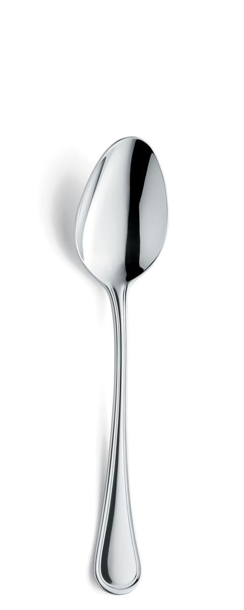 Haydn 8430 Tafellepel 20,5cm