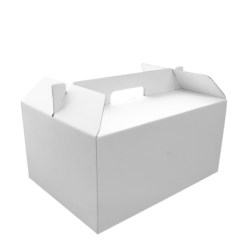 Take Away Box 28x20x15cm Wit