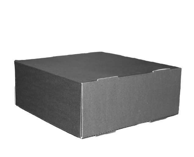 Take Away Box 37x37x15cm Zwart