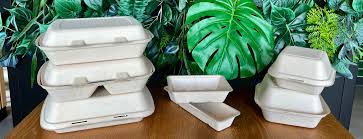 Suikerriet Disposables: Duurzaam Gemak Zonder Gedoe